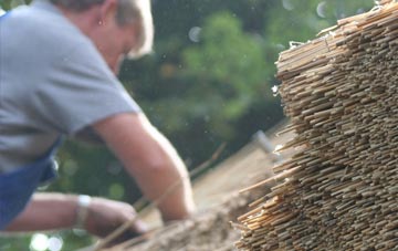 professional Colgate thatchers